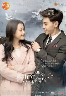 十五年等待候鸟剧照