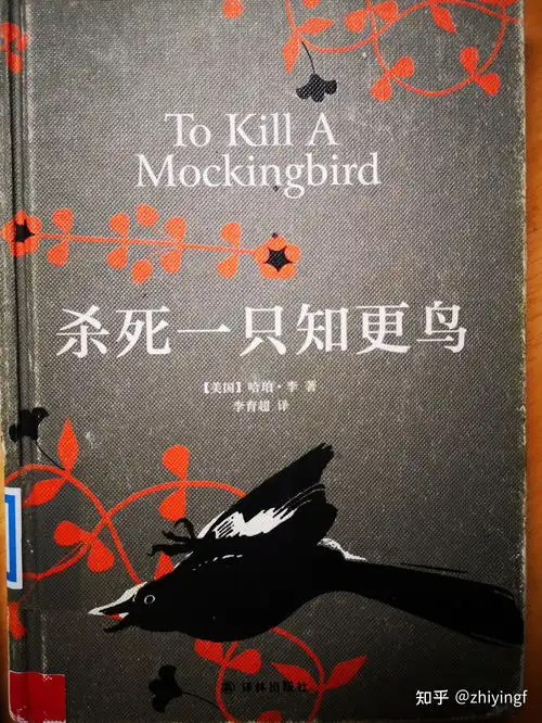 杀死一只知更鸟书评
