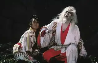 如果说导演是一部电影的灵魂,那服装无疑是肉体
