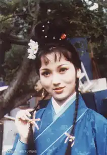 布丁视频盘点各版本倚天屠龙记
