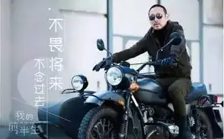 战狼2达康书记追捕丁义珍,流落非洲,偶遇冷锋...

