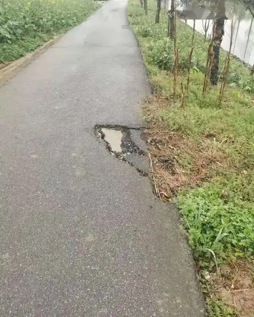 我为群众办实事学史力行,光明村用心用情服务民生
