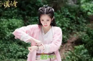 爱奇艺轩辕剑之汉之云精彩大结局张云龙于朦胧迎终极战
