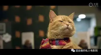 一只叫鲍勃的流浪猫被喵星人拯救的人生