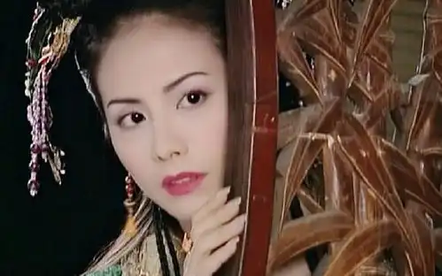 台湾艺人田丽长相美艳性格刚烈,来自阿里山却十分爱国