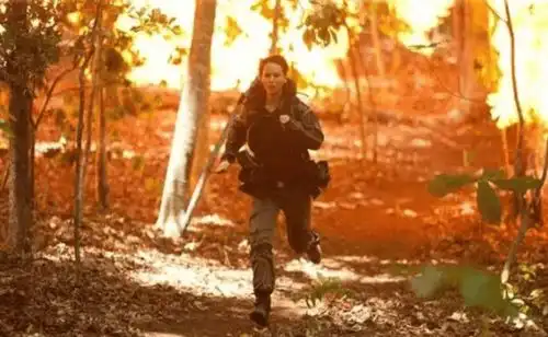 另类吃鸡新游恐惧群狼取材饥饿游戏,7月19日上架steam
