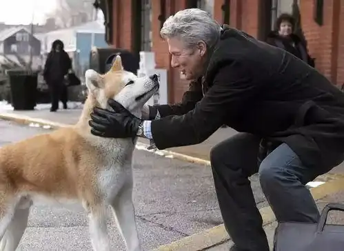 有哪些好看的以宠物为主题的电影或动画片