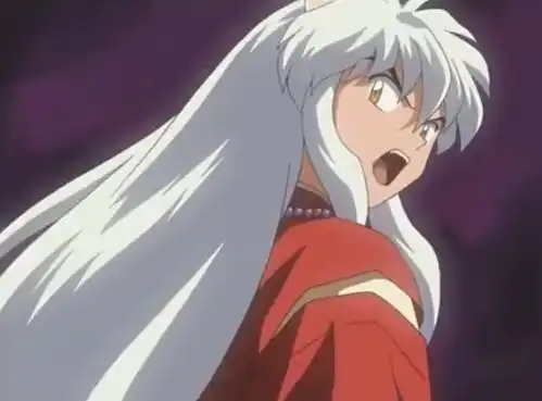 犬夜叉你是握着神弓的巫女,我只是一只半妖,可我偏偏喜欢你