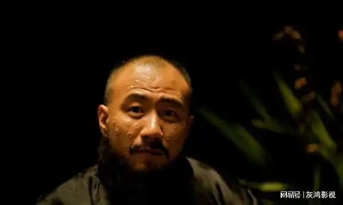 胡军姜文个骗子,说是特牛掰的角色,结果是个智商不在线的土匪
