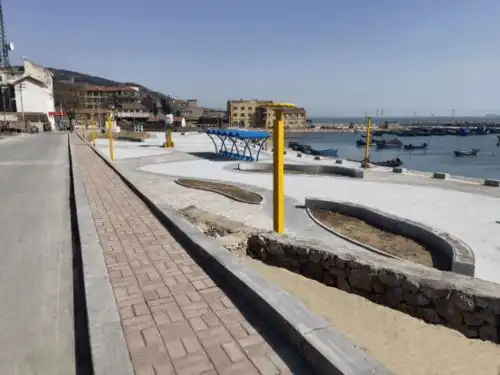 美丽海湾展播打造美丽海湾构建生态之岛