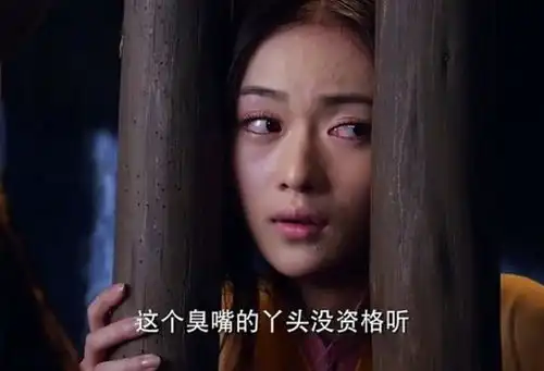 林心如剧里的丫鬟刘涛杨幂都大火,而她凭借延禧走红