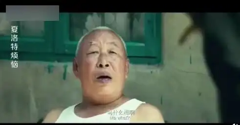 夏洛特烦恼为啥请高仿那英沈腾笑了你以为没去找
