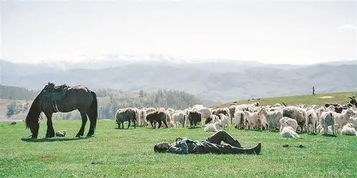 打卡电视剧拍摄地厦门赴阿勒泰机票预订量环比增长7成