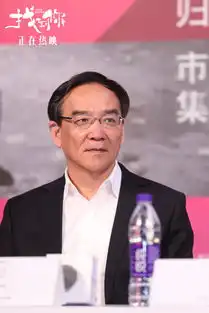 姚晨马伊琍携找到你亮相平遥国际电影展
