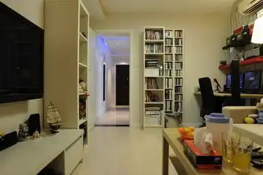 奢华时尚简约加艺术个性80后多彩蜗居剧照图