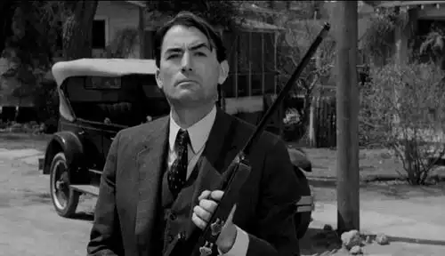 杀死一只知更鸟就是一桩罪恶,这桩罪恶却被社会规则支配了
