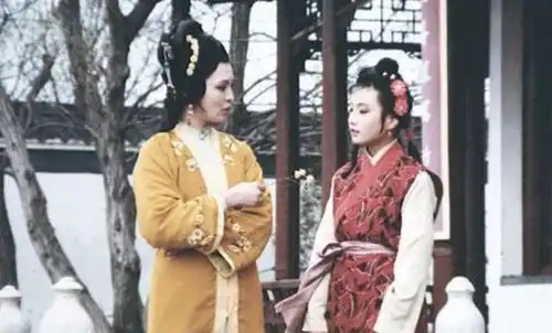 难怪红楼梦在清朝是禁书,你看夏金桂原型是谁隐喻真胆大