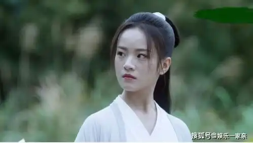 雪中悍刀行胭脂排行榜前五有哪些人青鸟和舒羞排得上号吗