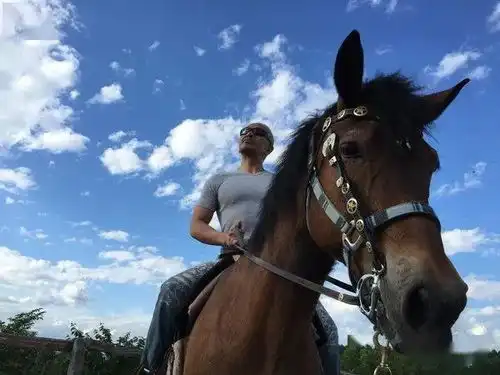 松本人志砸10亿帮助后辈度过疫情困难时期,神秘身价被媒体挖出