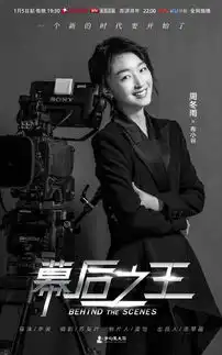 幕后之王布小谷剧照