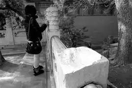 颐和园一云龙纹望柱头被盗专家分析盗窃手法
