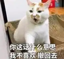 惊你表情包里这些猫的原型来了,快看你认识几个
