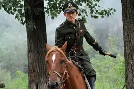 verycd娱乐大全热门排列大陆
