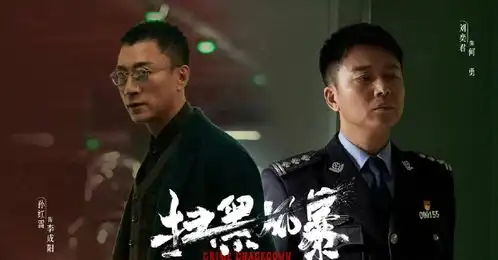 怎么评价扫黑风暴好就好在烂尾