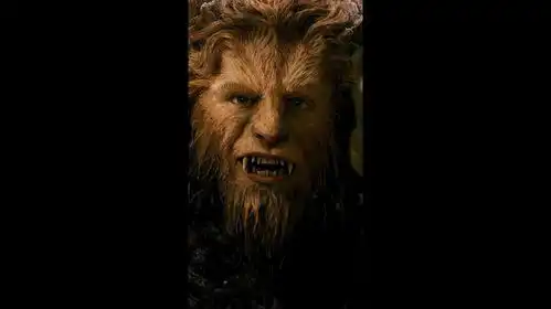 美女与野兽艾玛沃森丹史蒂文斯