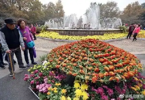 满城尽带黄金甲中山公园菊展争妍斗艳
