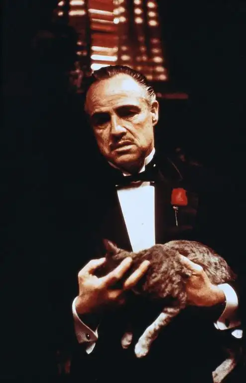 全球影视水平简评论中国和欧美日韩电影大国的影视水平差距
