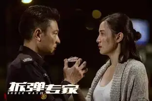 影片简介记忆大师拆弹专家喜欢你
