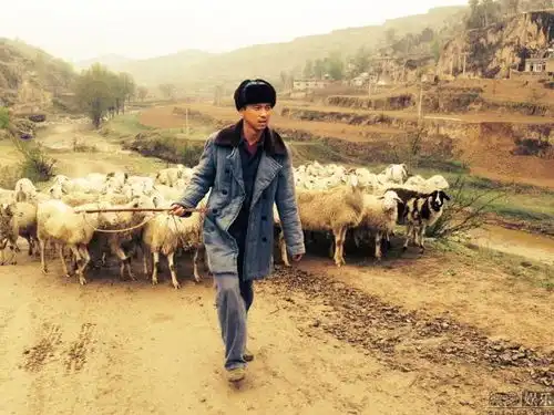 路遥逝世26周年怀念我们每个人都归于平凡归于平凡的世界