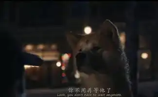 小说和影视的落泪情节忠犬八公的漫长一生