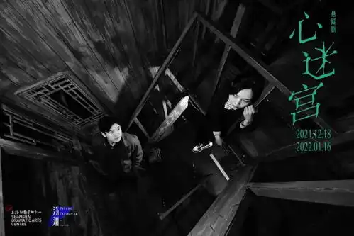 悬疑巨制心迷宫在沪首演
