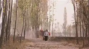 大红灯笼高高挂细节欣赏