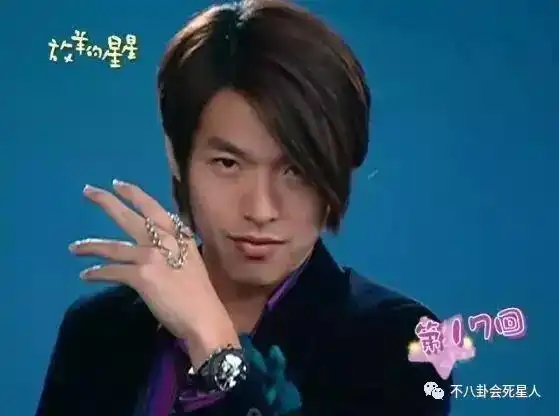 放羊的星星主演现状,女二被林心如耽误,她隐退却被传自杀