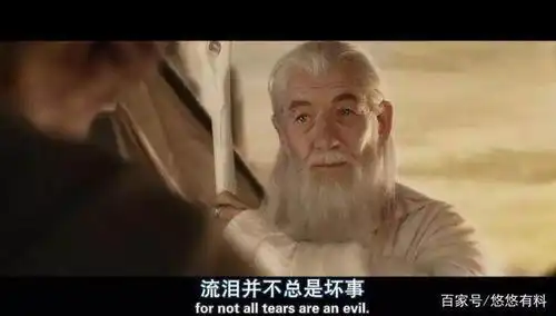 指环王3王者无敌战争场面一流,也给了我们不少警醒
