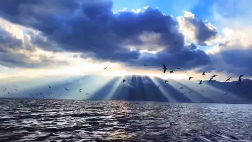 等阴霾散去,阳光普照大地,我们终会再见面等春来你最想见谁情人节