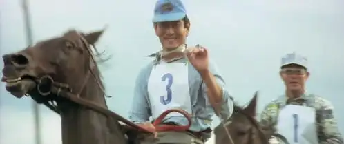 远山的呼唤
