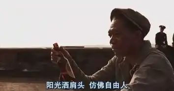 肖申克的救赎安迪靠石锤挖隧道是否合理地质学这样解释

