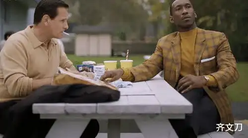 绿皮书用诙谐手法描绘的剧情,结局很感人
