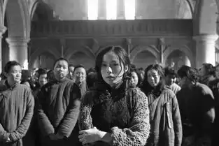 南京南京将在日本最大视频网站上映
