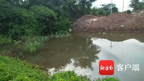 椰视频企业施工填堵排水沟海口昌德村80多亩菜地被淹