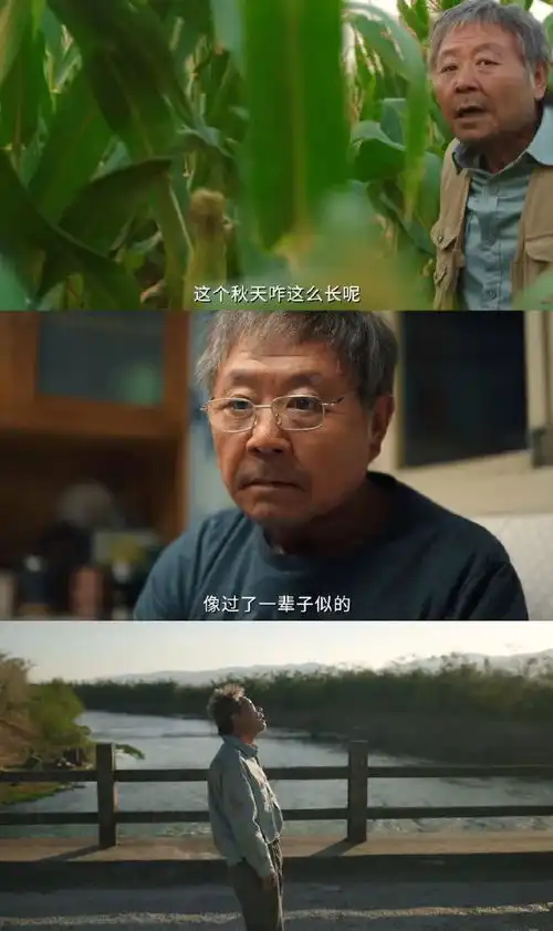 五一档总票房破15亿,电影市场变好了吗