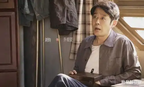 电影小伍哥投资浅谈乔家的儿女小说中乔爸最后的折腾