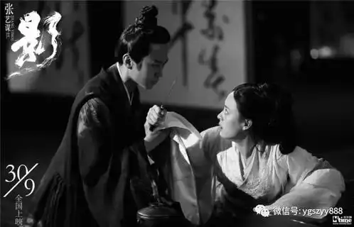 无双李茶的姑妈影胖子行动队现已开售1

