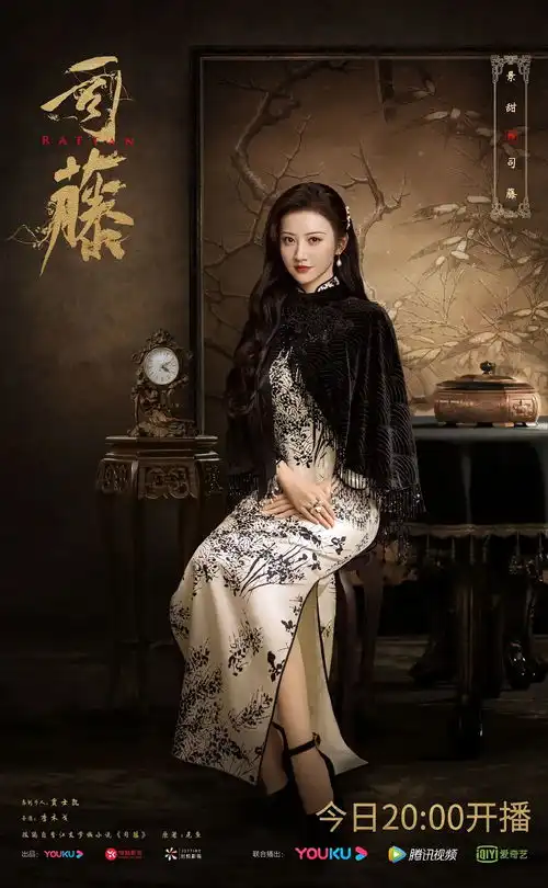 感觉司藤和岳绮罗有点子像