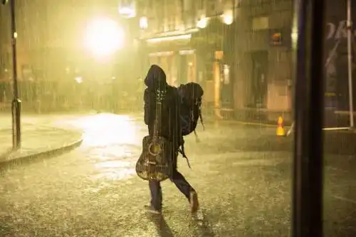 流浪猫鲍勃铲屎官千万不要错过