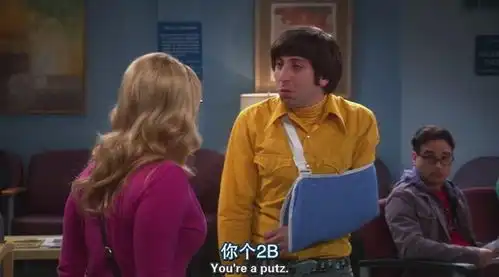 生活大爆炸第四季